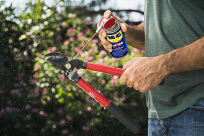 Sbloccante Lubrificante Spray WD 40 250+40ml. Getto Posizionabile